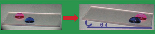 Transparent and durable: fluorine-free anti-smudge polyurethane coatings