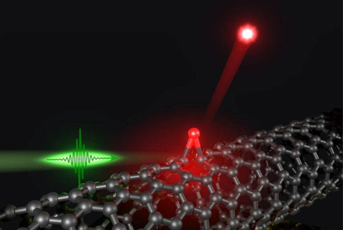 A solitary oxygen dopant (red sphere) covalently attached to the sidewall of the carbon nanotube (gray) can generate single photons (red) at room temperature when excited by laser pulses (green)