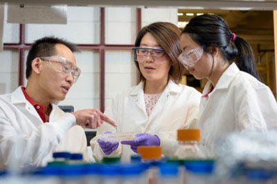 UD researchers Wilfred Chen, Qing Sun and Qi Chen have developed a new biosenor platform to detect cancer