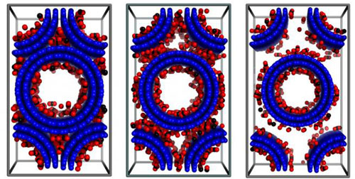 Snapshots of CO2 Adsorption in Double-Walled Carbon Nanotube Arrays