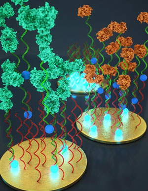 portable sensor that enables fast and easy detection of multiple diagnostically relevant proteins