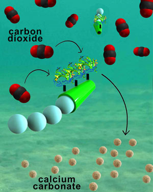 Cartoon Illustration of Micromotors Removing Carbon Dioxide