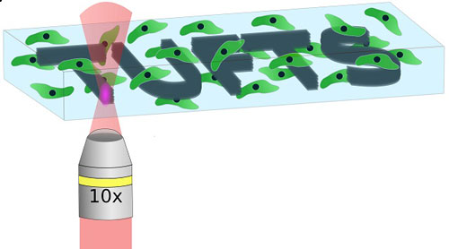 Illustration of laser-based micropatterning of silk hydrogels