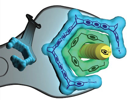 molecular wrench