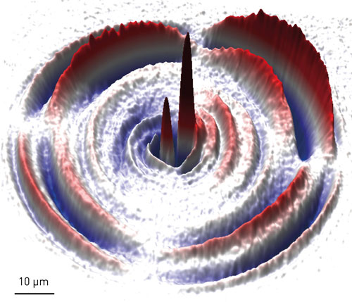 A three-dimensional image of a photoexcited magnetoelastic wave