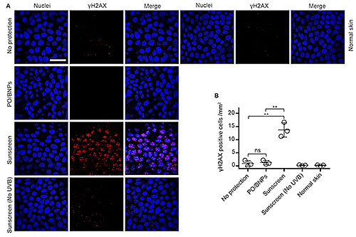 images of skin cells showing DNA damage