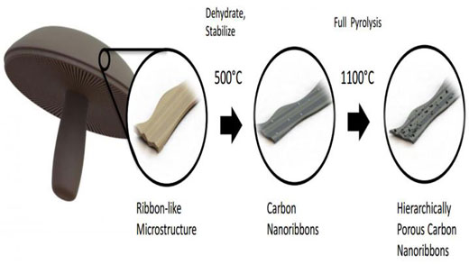 This is a diagram showing how mushrooms are turned into a material for battery anodes