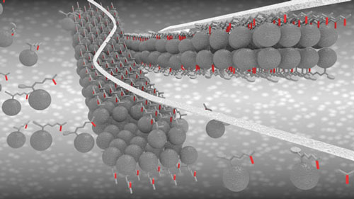 PCBM nanoribbons