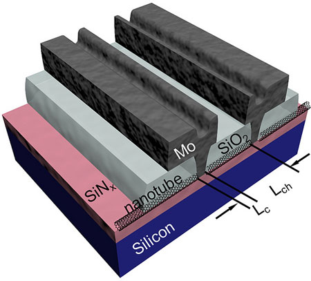 Schematic of a set of Mo end-contacted nanotube transistors