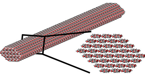 An illustration of a single cellulose nanocrystal and cross-section