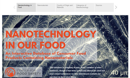 nanotechnology in food database