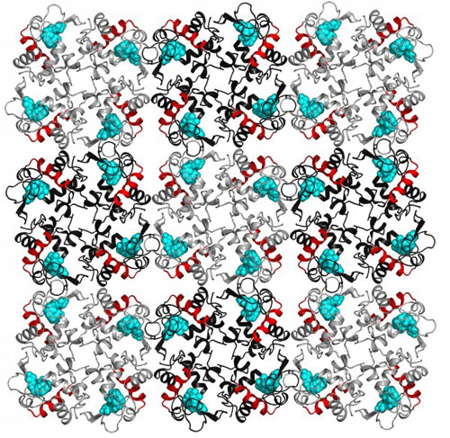 Lysozyme molecules arranged in a crystal lattic
