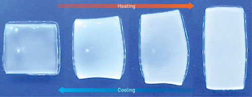 thermoresponsive hydrogel