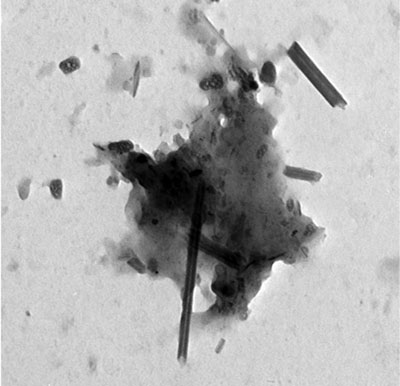 nanotubes and nanoparticles
