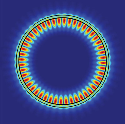 whispering gallery mode of a 2D excitonic laser