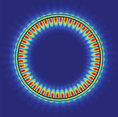 whispering gallery mode of a 2D excitonic laser