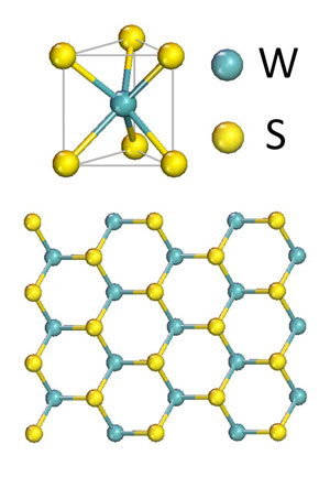 A single molecular layer of tungsten (W) and sulfide (S)