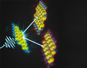 Pentacene molecules convert a single photon into two molecular excitations via the quantum mechanics of singlet fission