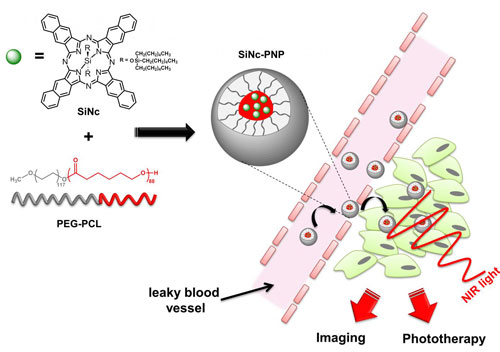 Phototherapy System