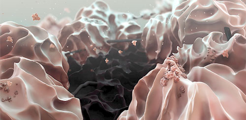 False-colour microscopic view of a reduced graphene oxide electrode
