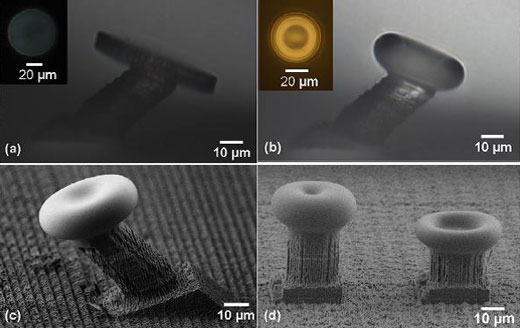 microscope images of Whispering-Gallery-Mode microcavities fabricated by femtosecond laser 3-D processing