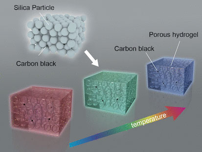 A pinch of carbon black transforms porous hydrogels to materials exhibiting angle-independent bright structural colors