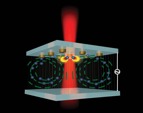 plasmonic nanotweezer