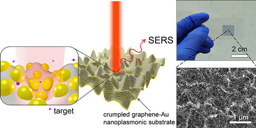 Schematic illustration of SERS enhancement from a crumpled graphene-Au NPs hybrid structure