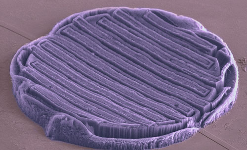 Vertically aligned multi walled carbon nanotubes