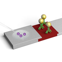 nanobiosensor