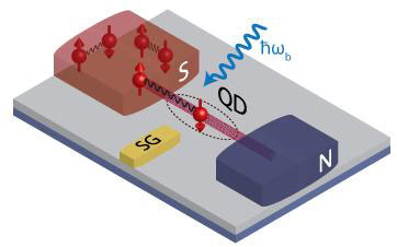 transport process of electrons from a superconductor (S) through a quantum dot (QD) into a metal with normal conductivity (N)