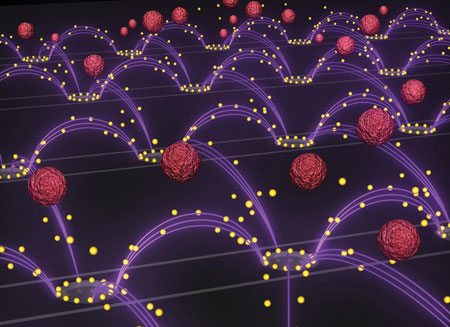 Nanoparticle Removal Chip