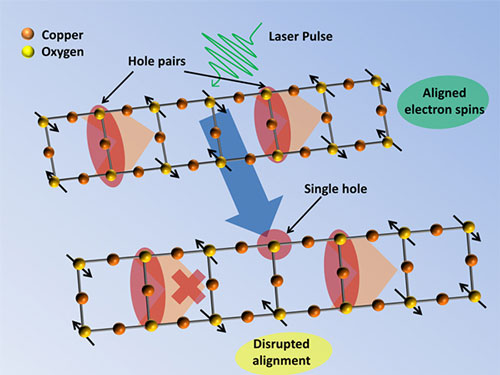 llustration of a copper oxide ladder, showing the alignment of electron spins that allows hole pairs to travel along the ladder