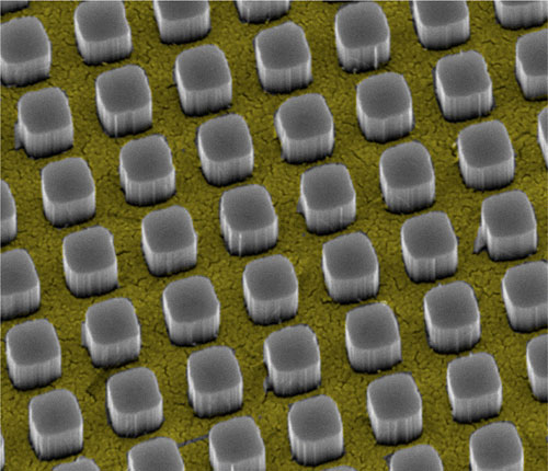 Silicon pillars emerge from nanosize holes in a thin gold film