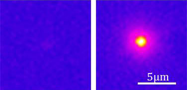 An infrared camera captures the luminescence (emission of light) after optical excitation of both nanostructures