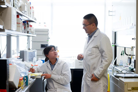 Yue Lu and Zhen Gu, North Carolina State University