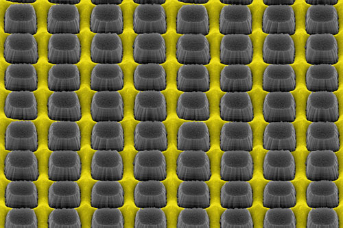 An array of nanopillars etched by thin layer of grate-patterned metal