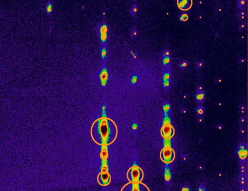 X-ray diffraction on pure 4T, colored