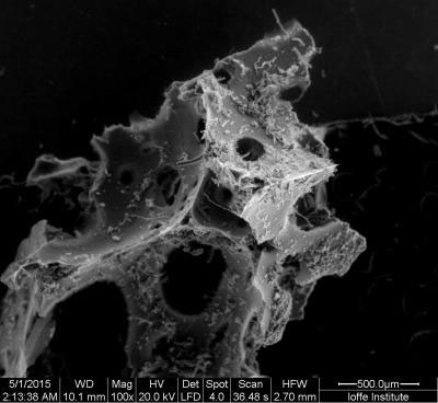 electronic microscope image of hybrid silica foam