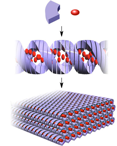 A porous framework (purple) consisting of helical pores