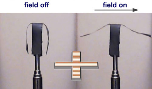 Chained magnetic polymer nanocomposite