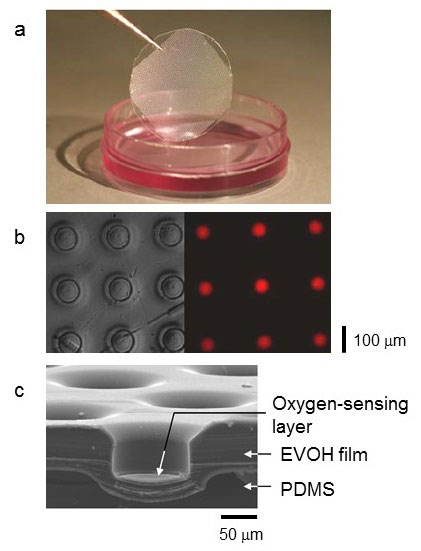 Flexible sheet-type sensor device