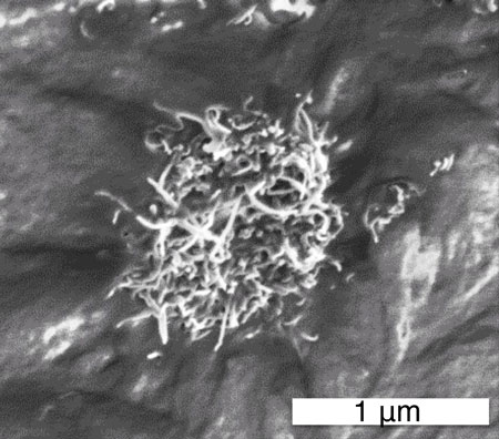 carbon nanotube dust bunny