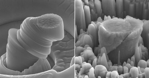 At left, a deformed sample of pure metal; at right, the strong new metal made of magnesium with silicon carbide nanoparticles