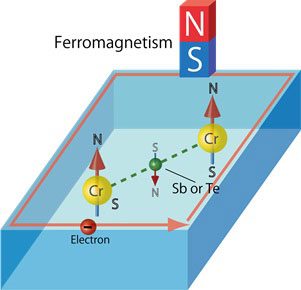 Ferromagnetism mediated by Sb or Te atoms