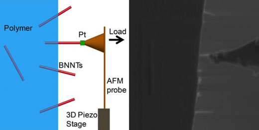 testing the force required to pluck a boron nitride nanotube from a polymer by welding a cantilever to the nanotube and pulling