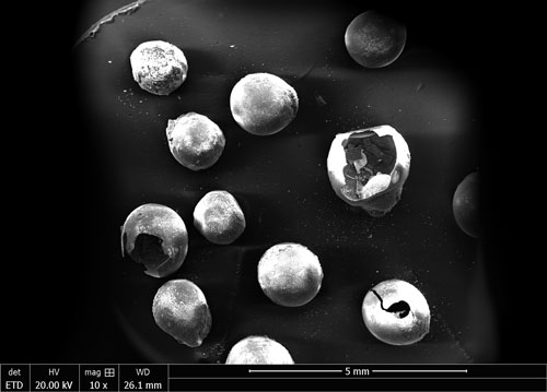 Scanning electron microscopy image of hollow spheres made from sucrose