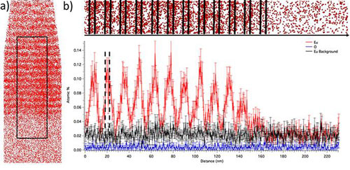 A Reconstructed Atom Probe Tomography Image