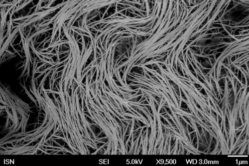 canning electron microscopy image shows single walled carbon nanotubes