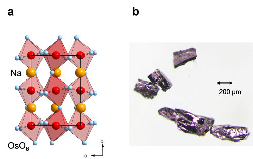 Schematic of an osmium oxide (NaOsO3) crystal structure and an optical microscope image of the single crystal